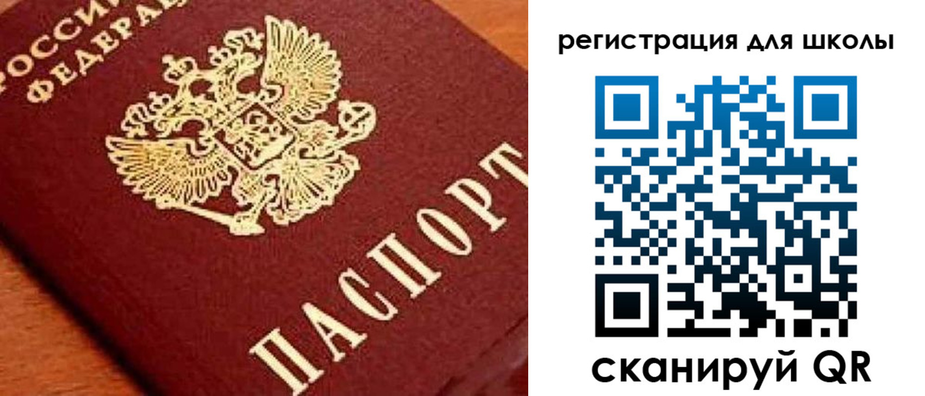 временная регистрация надежно в Дубне